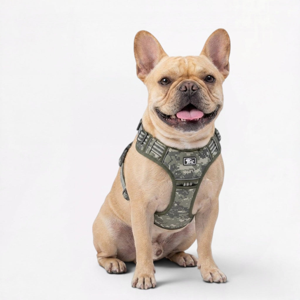 Frenchie-Tactical-Reflective-Gear-Set.jpg
