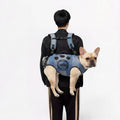 Frenchie-Ventilated-Backpack-Carrier.jpg