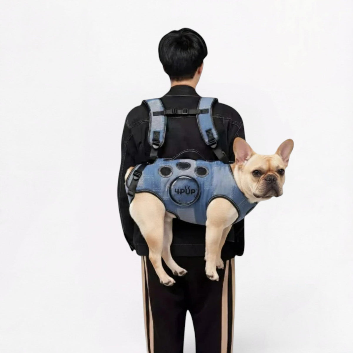 Frenchie-Ventilated-Backpack-Carrier.jpg