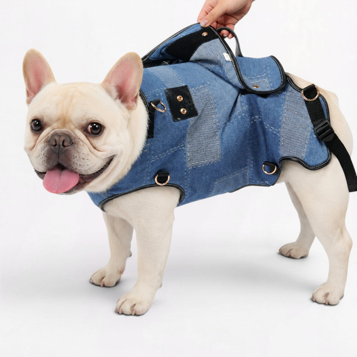 Frenchie-Ventilated-Backpack-Carrier.jpg