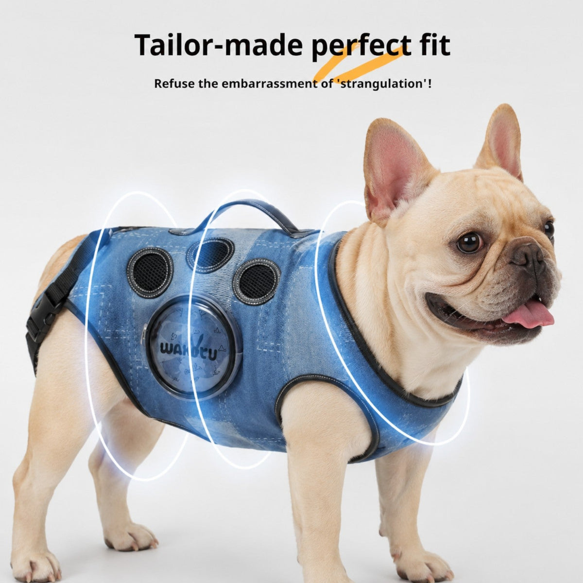 Frenchie-Ventilated-Backpack-Carrier.jpg