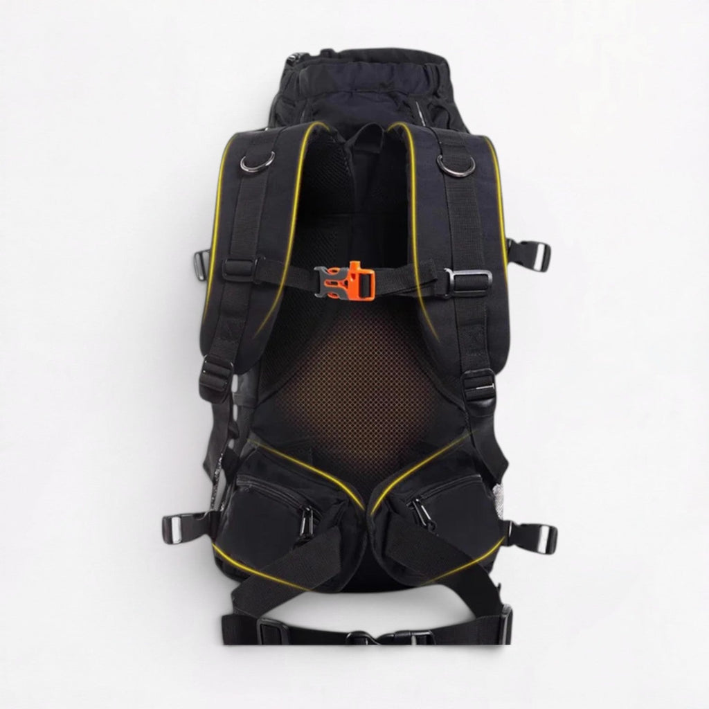 Frenchie-Ventilated-Carrier-Backpack.jpg