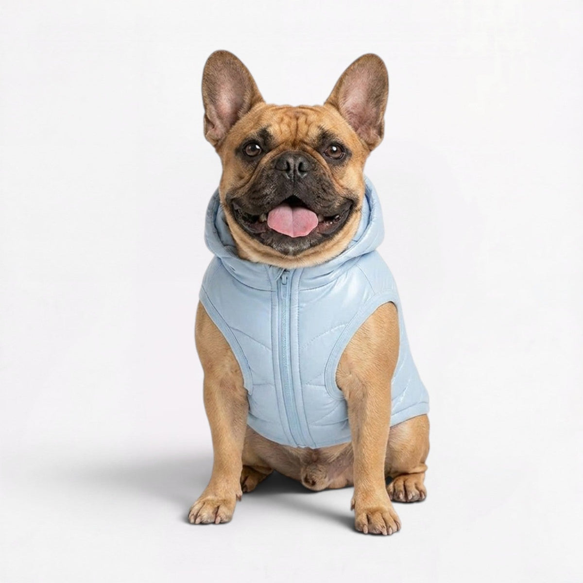 Frenchie-Waterproof-Hooded-Winter-Vest.jpg