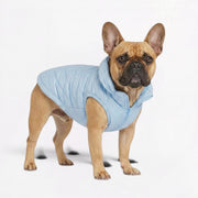 Frenchie-Waterproof-Hooded-Winter-Vest.jpg