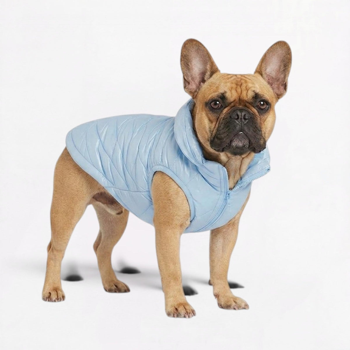 Frenchie-Waterproof-Hooded-Winter-Vest.jpg
