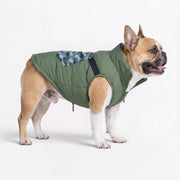 Frenchie-Waterproof-Pockets-Winter-Jacket.jpg