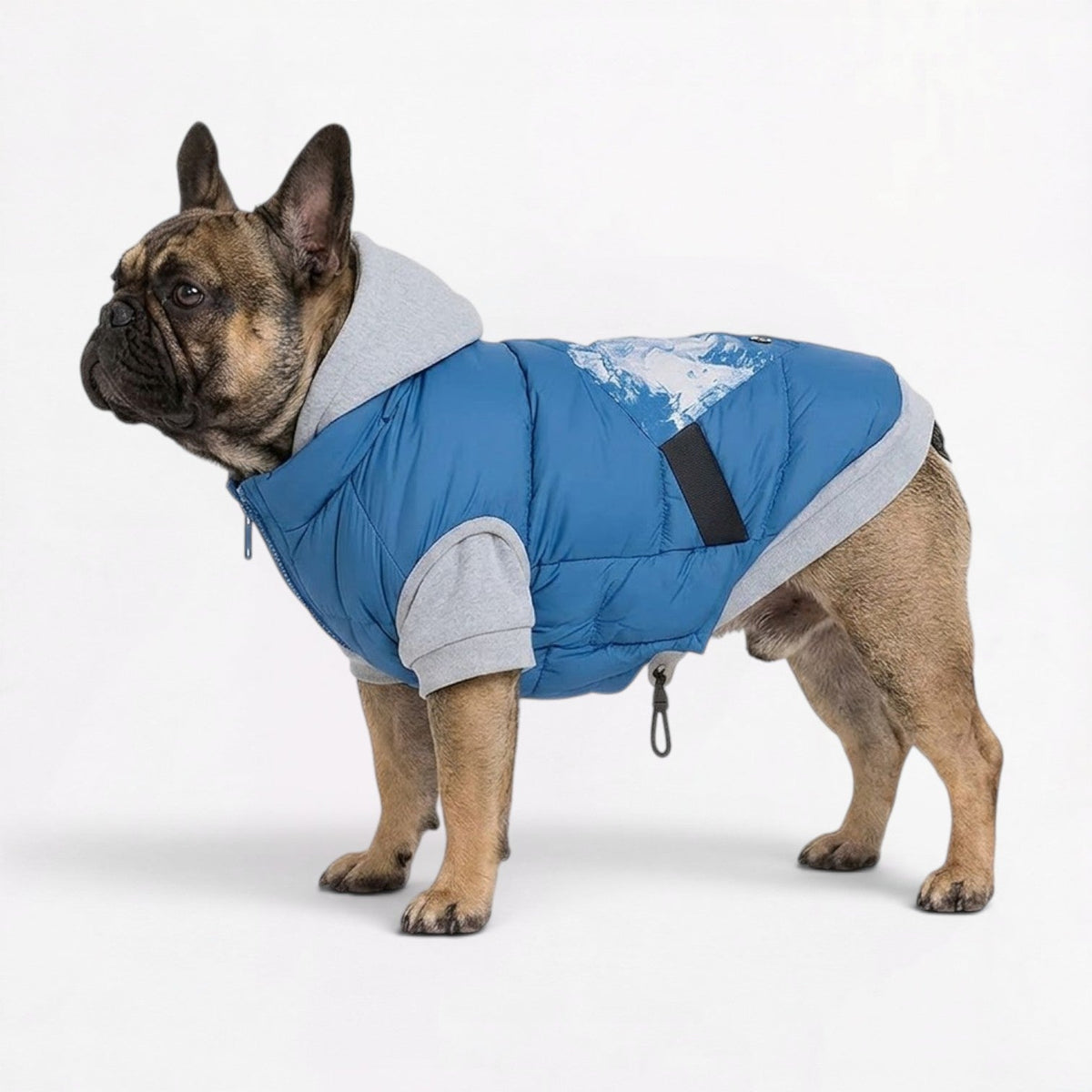 Frenchie-Waterproof-Pockets-Winter-Jacket.jpg