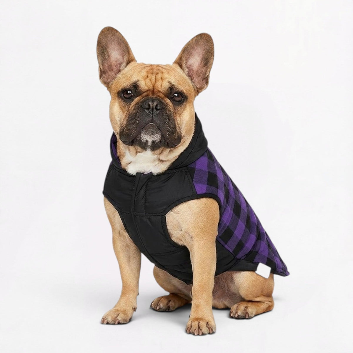 Frenchie-Windproof-Reversible-Quilted-Jacket.jpg