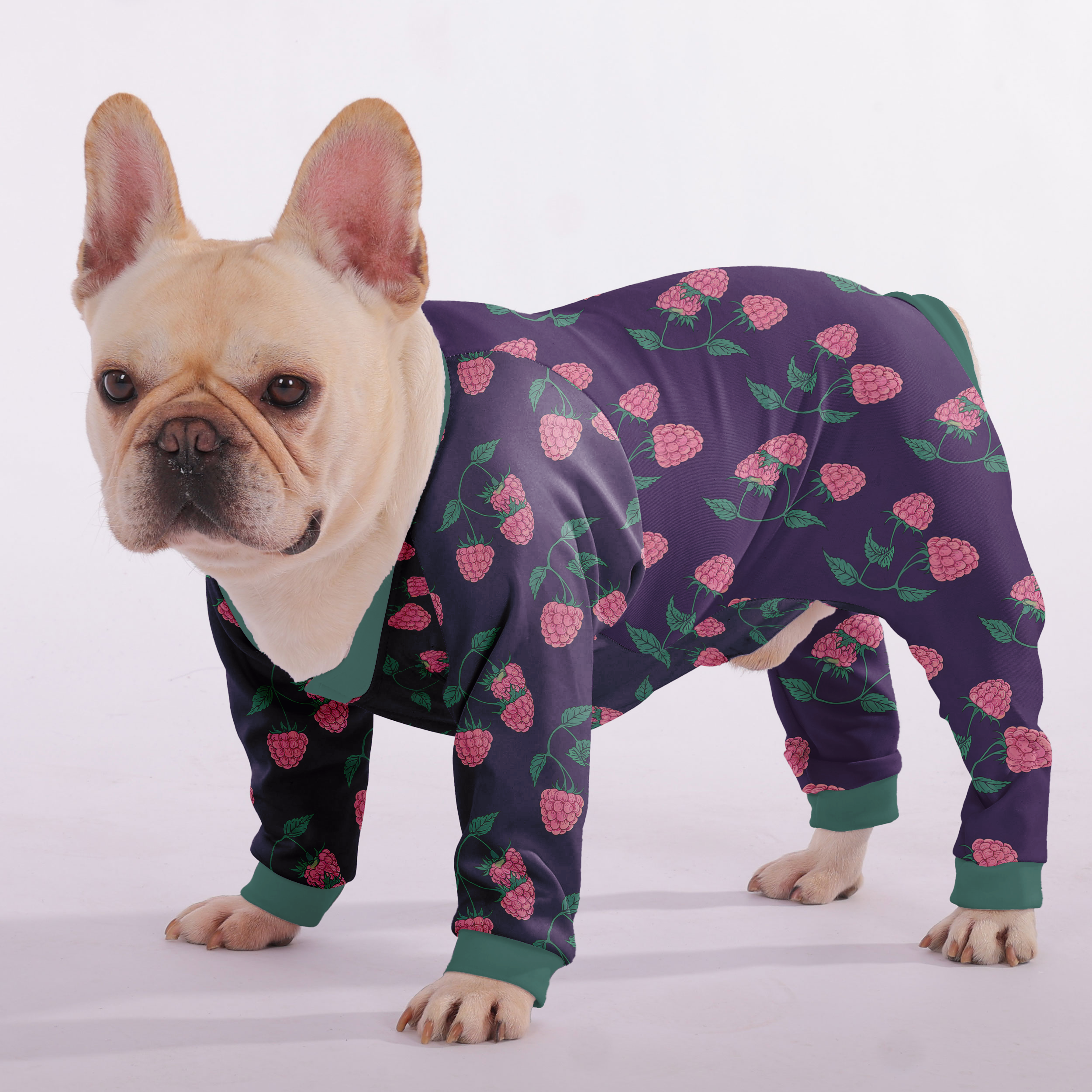 Bentley - Frenchie Pajamas – Lightweight, Stretchy, Cozy & Festively Stylish