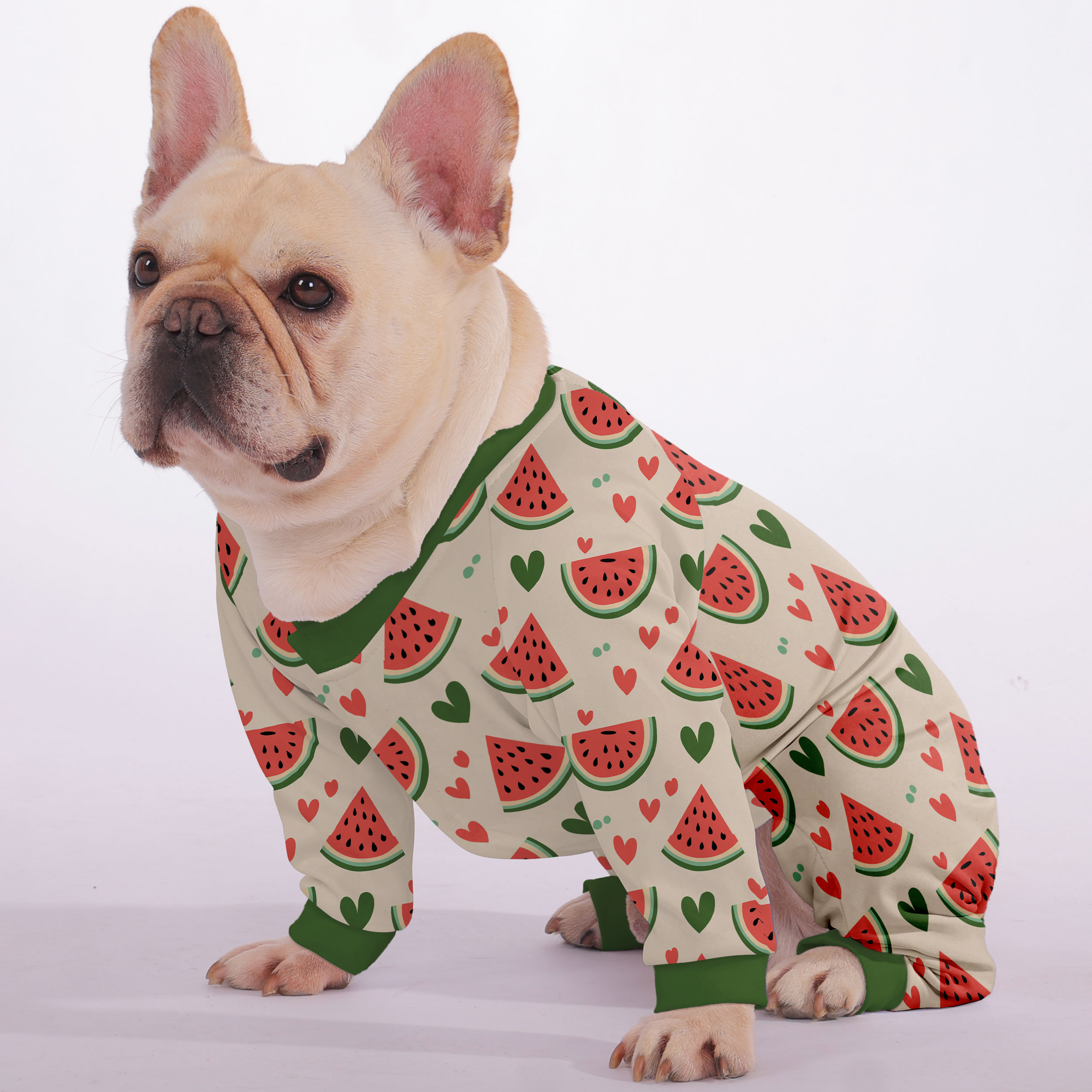 Princess - Frenchie Pajamas – Lightweight, Stretchy, Cozy & Festively Stylish