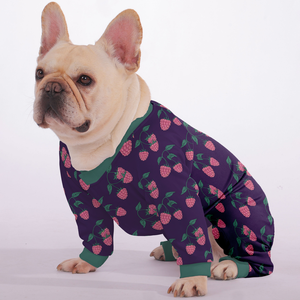 Bentley - Frenchie Pajamas – Lightweight, Stretchy, Cozy & Festively Stylish