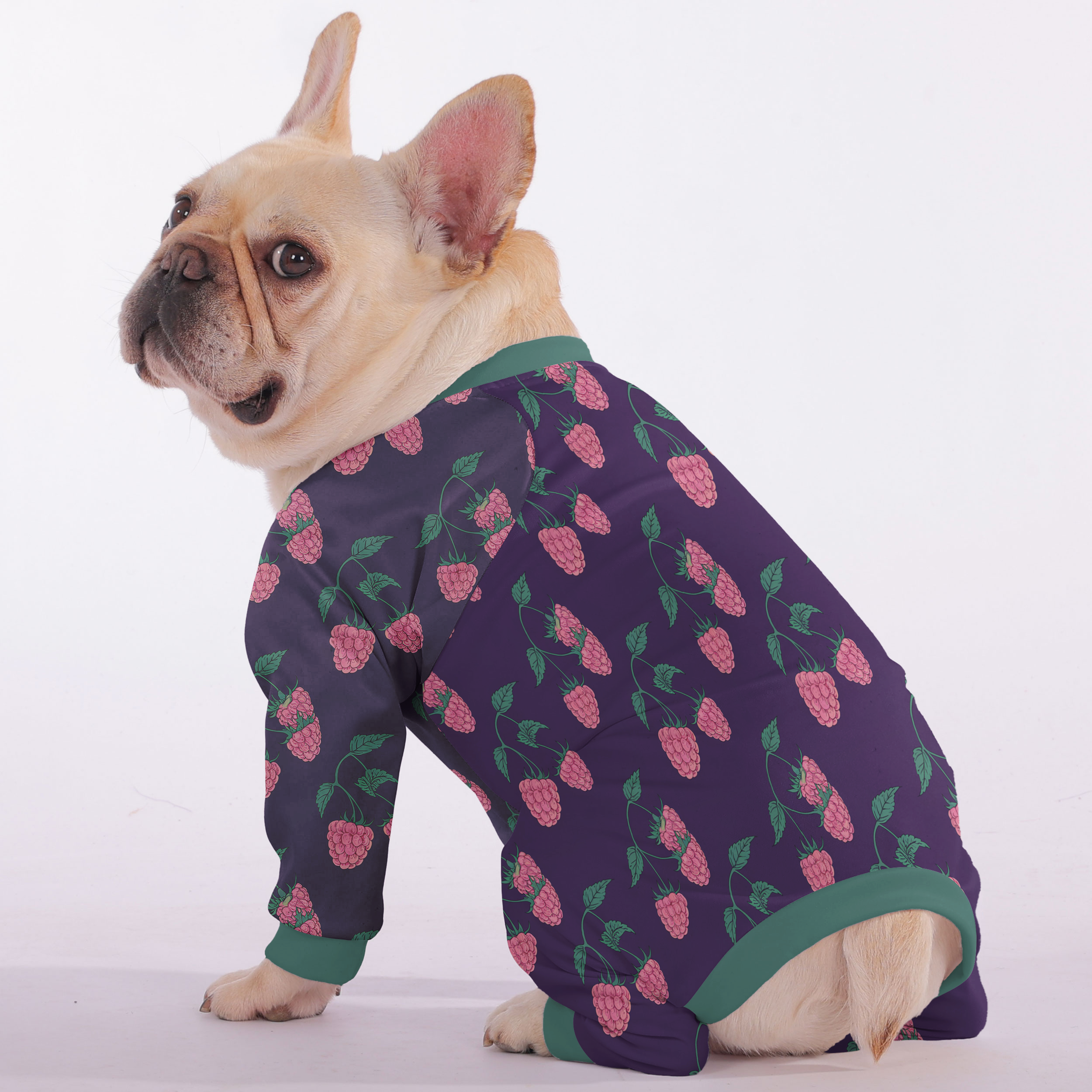 Bentley - Frenchie Pajamas – Lightweight, Stretchy, Cozy & Festively Stylish