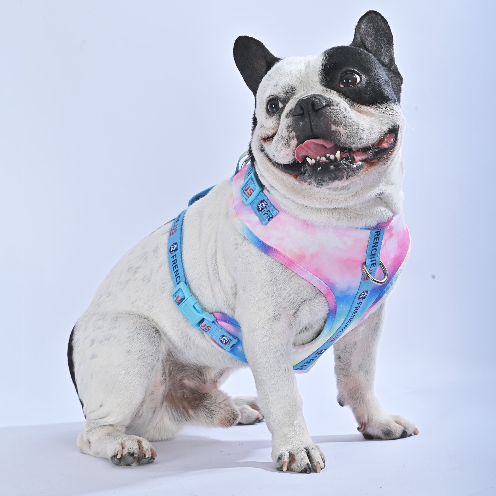 Galaxies - Frenchie.us Harness - Frenchie.us
