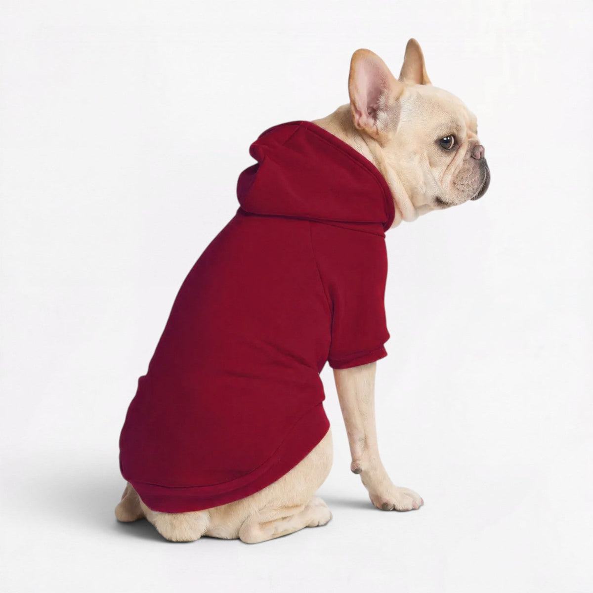 Plus-Velvet-Frenchie-Owner-Matching-Hoodie.jpg