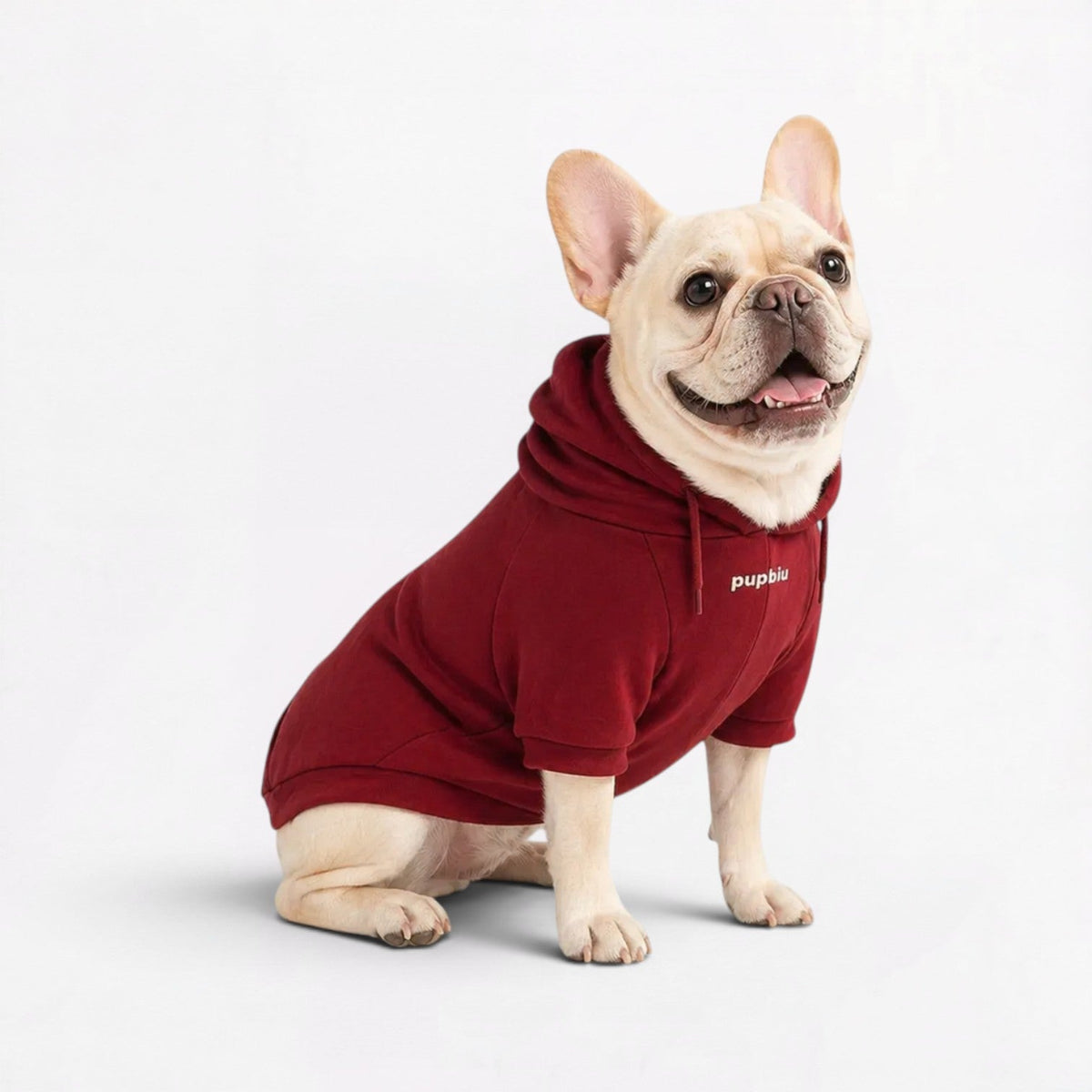 Plus-Velvet-Frenchie-Owner-Matching-Hoodie.jpg