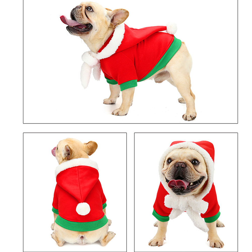 PupJoy Frenchie Christmas Couture - Frenchie.us