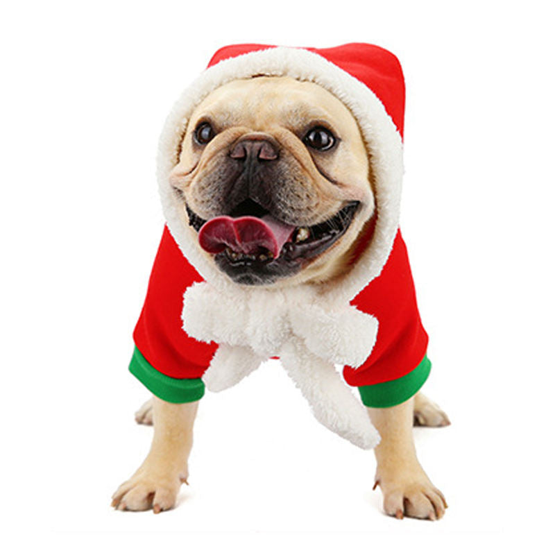 PupJoy Frenchie Christmas Couture - Frenchie.us