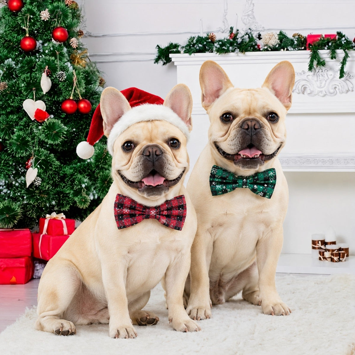 Snowflake-Holiday-Collar-and-Bell-for-French-Bulldog.jpg