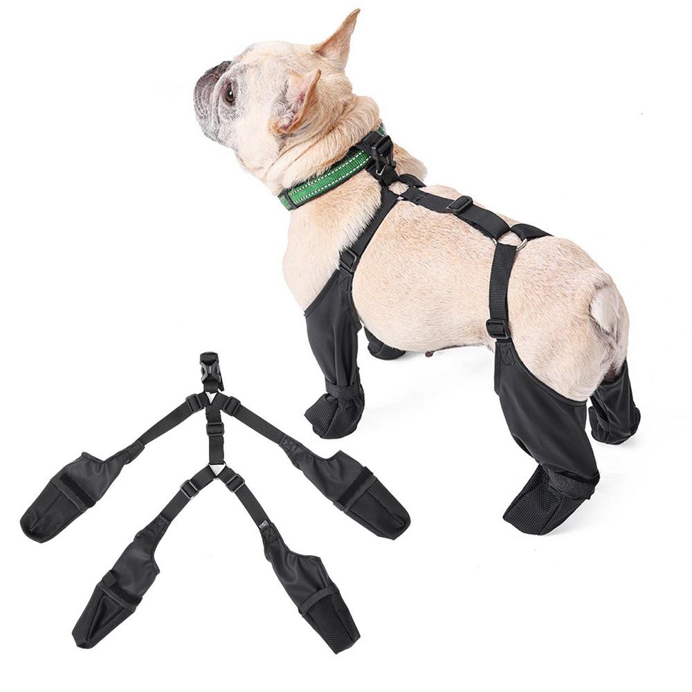 Sole Savers French Bulldog Footwear - Frenchie.us