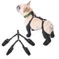 Sole Savers French Bulldog Footwear - Frenchie.us
