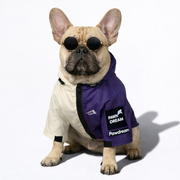 StormPaw Frenchie Windproof Raincoat – Premium Hooded Dog Jacket - Frenchie.us