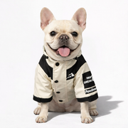 WinFren Frenchie Raincoat - Waterproof Hooded Dog Jacket - Frenchie.us