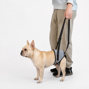 Frenchie Adjustable Rear-Leg Lift Harness
